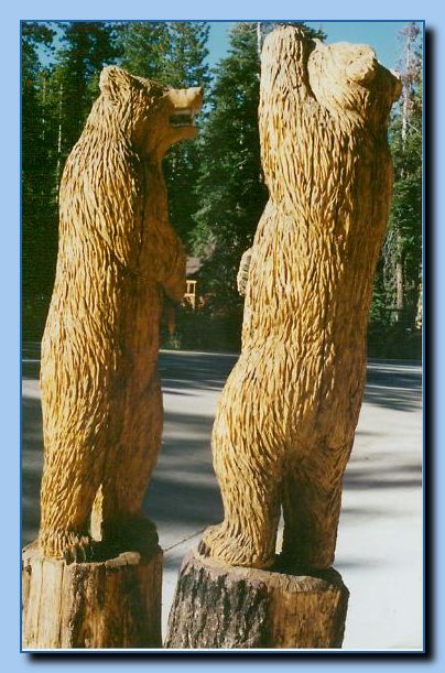 2-15 bear-archive